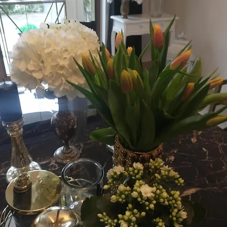 Parque de vacaciones Korab & Wisełka