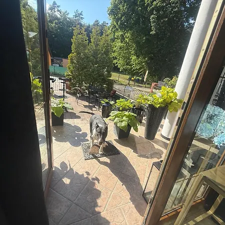 Korab & Spa Holiday park *