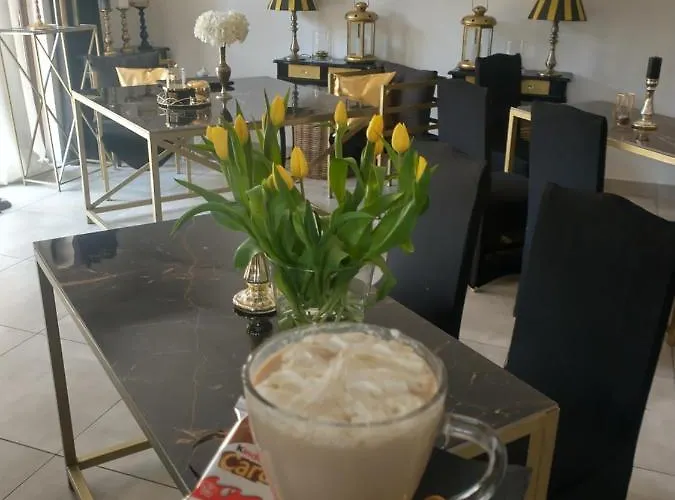 Korab & 홀리데이파크