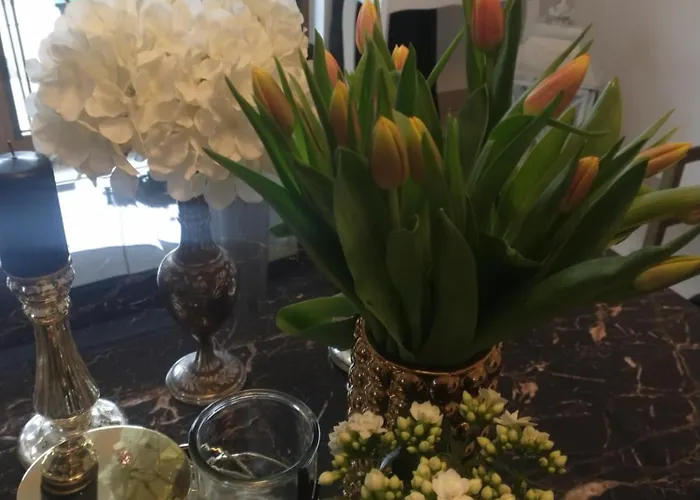 Parque de vacaciones Korab & Wisełka